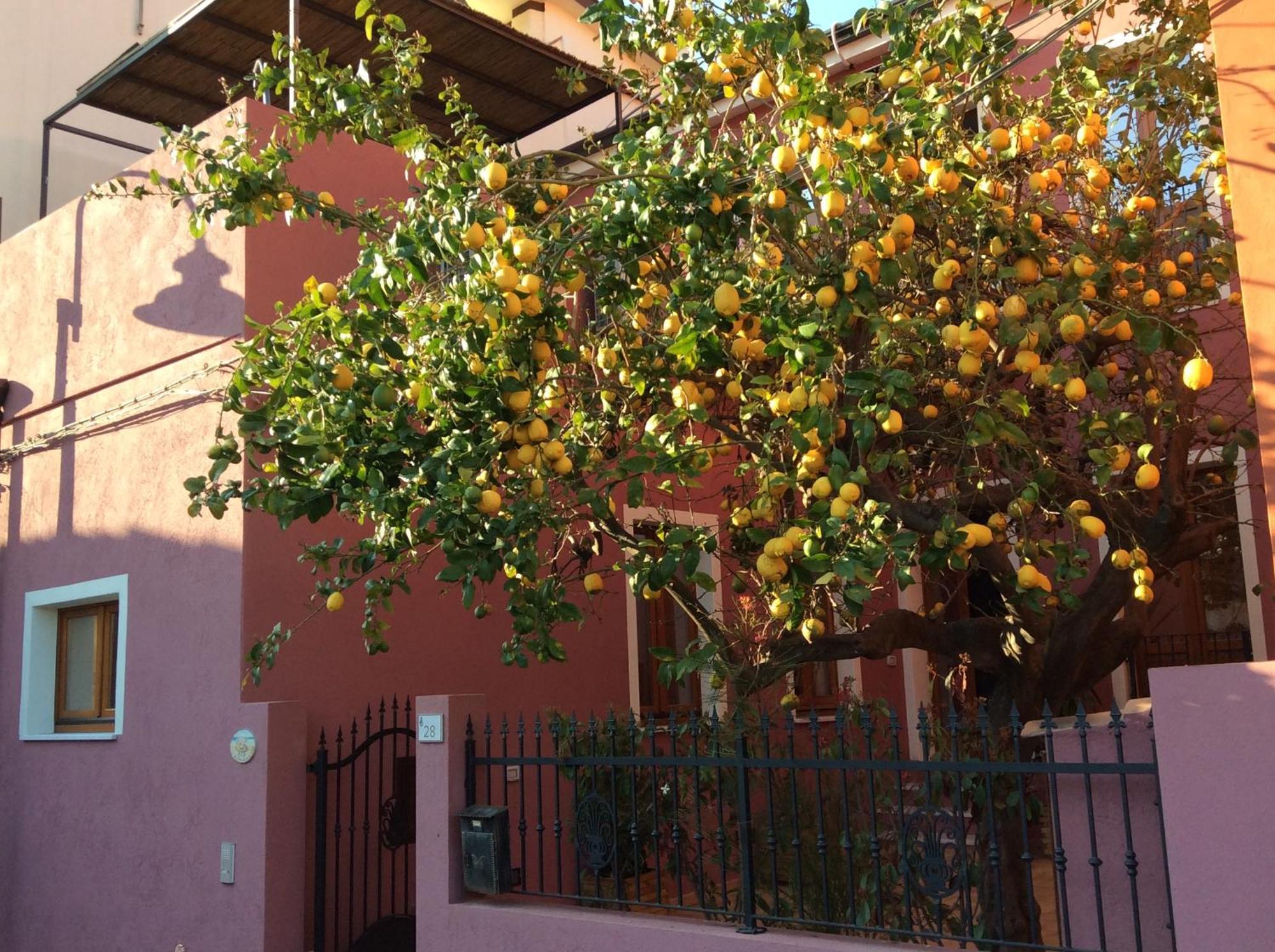 La Perla Del Sud Bed & Breakfast Teulada Luaran gambar